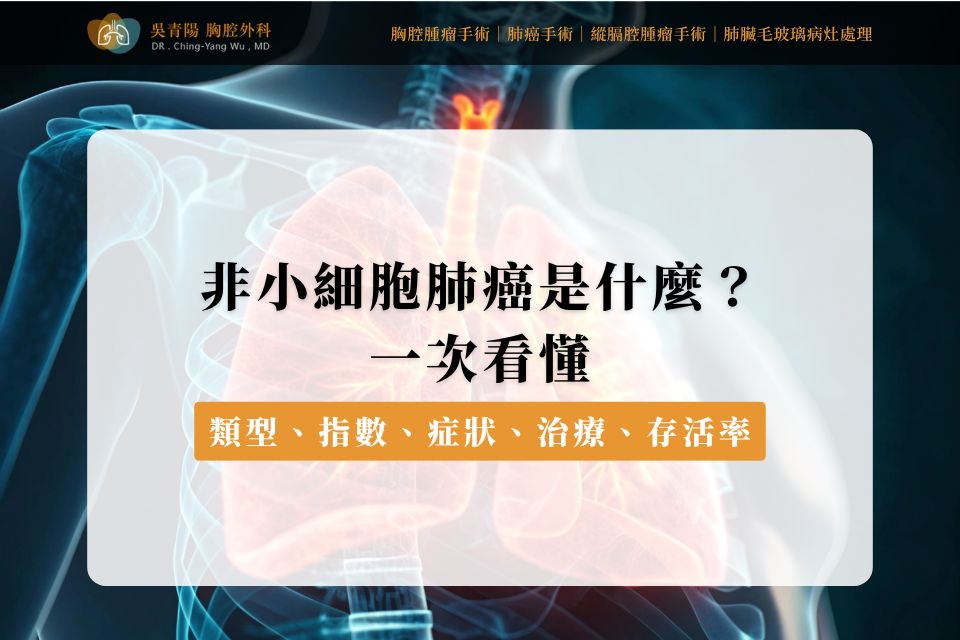 非小細胞肺癌是什麼？類型、指數、症狀、治療與存活率一次看懂